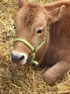 17185_10155563698380181_9113551180773663724_n