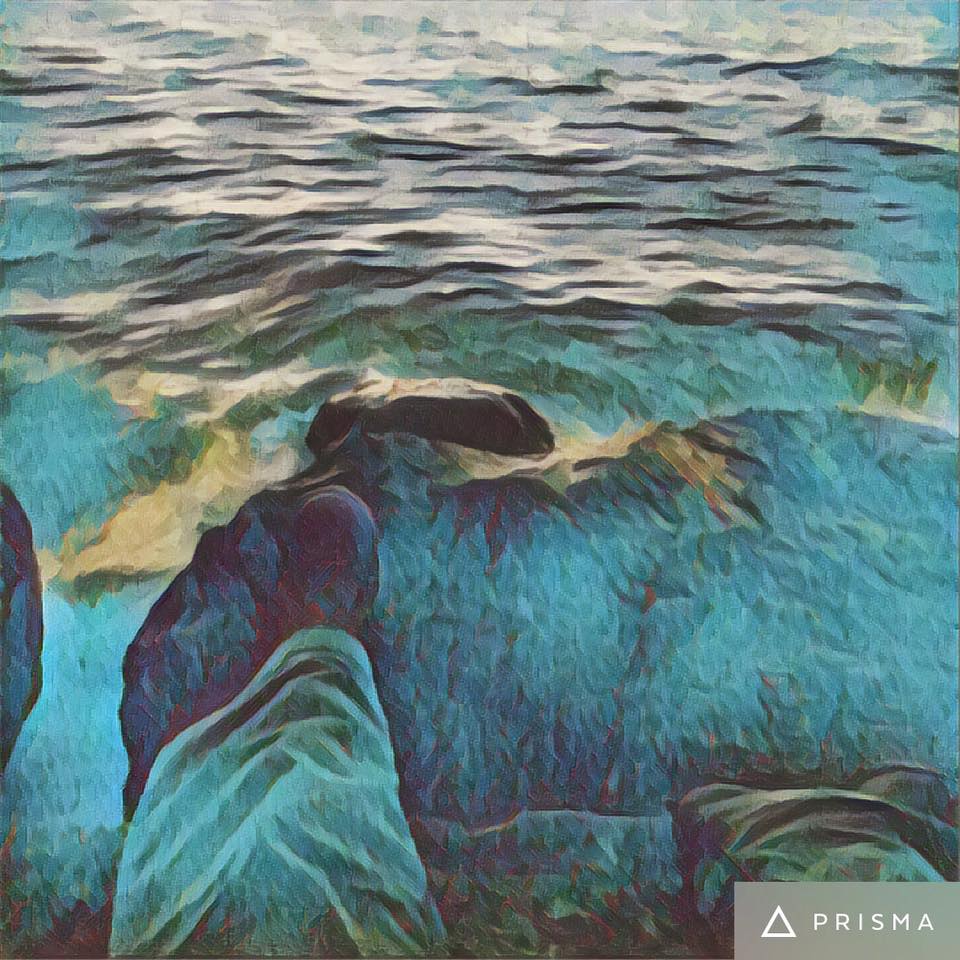 Life is like a&nbsp;lake